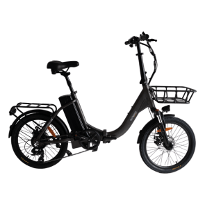 GoCamp E-bike Flexibilus