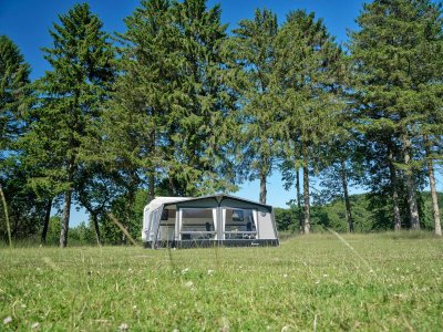 Isabella Ambassador Etna