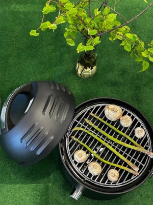 Smartliving Portabel Gasolgrill