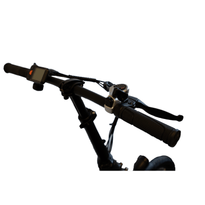 GoCamp E-bike Flexibilus