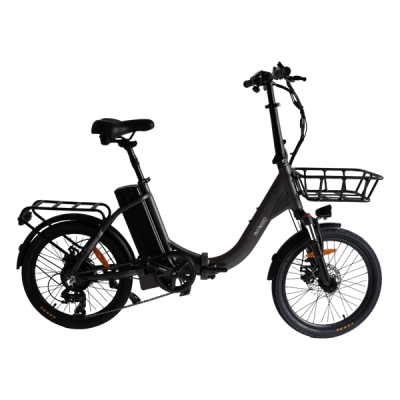 GoCamp E-bike Flexibilus